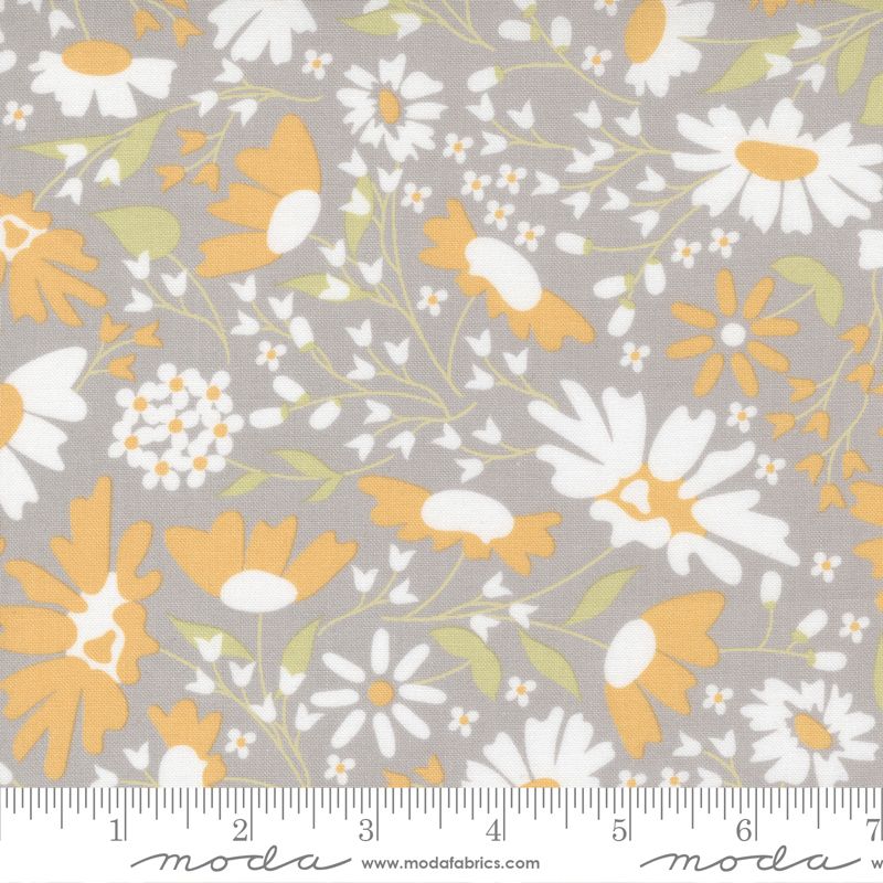 Buttercup grå med store blomster