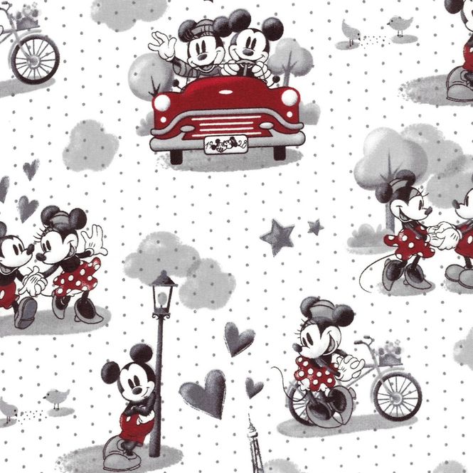 Hovedbilde Mikke og Minnie